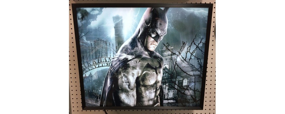 Batman Arkham Asylum - Video Game Print - Lightbox