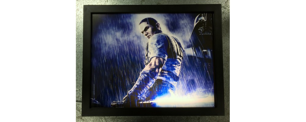 The Force Unleashed - Video Game Print - Lightbox