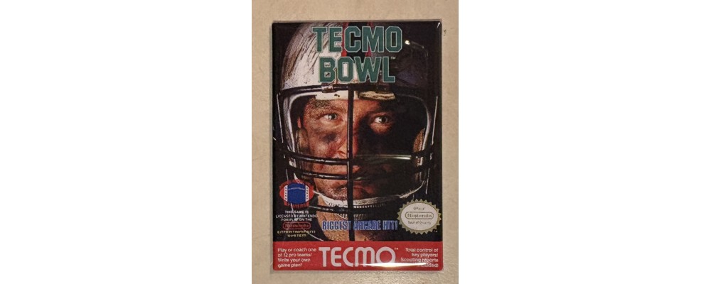 Tecmo Bowl - Video Games - Magnet Tecmo Bowl - Video Games - Magnet